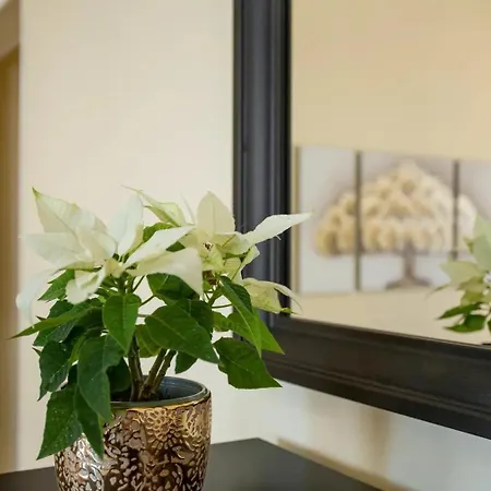 Palmas Ocean View Апартаменты