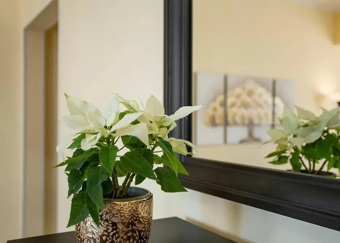 Palmas Ocean View Апартаменты